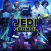 Dela the Fella - Jedi Council